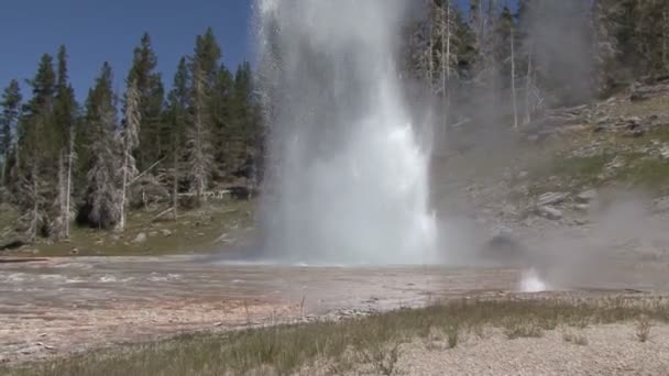 Geyser . — Video Stock