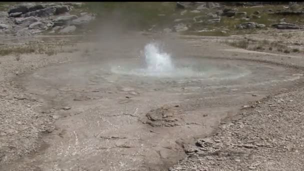 Geyser . — Video Stock