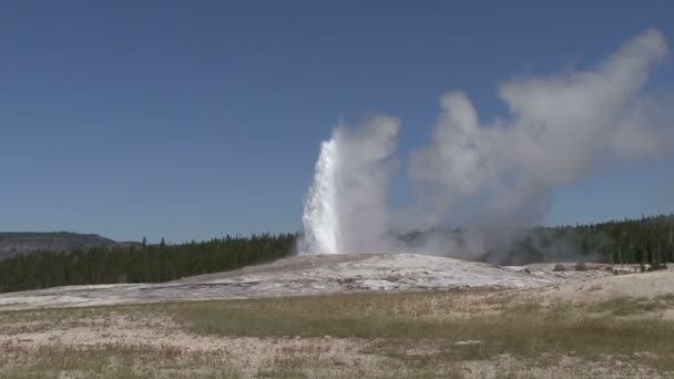 Geysers. — Stok video