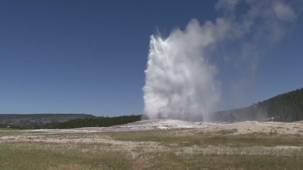 Geyser . — Video Stock