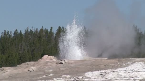 Geysers. — Stock Video