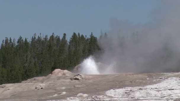 Geysers. — Stok video