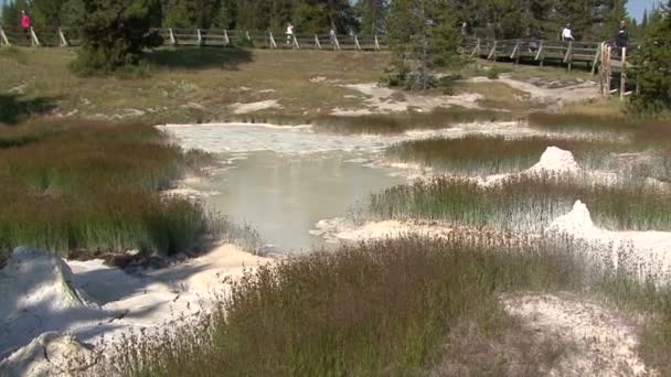 Geysers. — Αρχείο Βίντεο