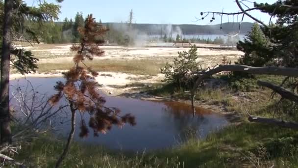 Geysers. — Stock video