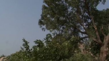 Hindistan İstanbul Hampi. Vijayanagar kalıntıları