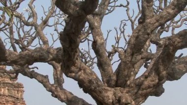 Hindistan İstanbul Hampi. Vijayanagar kalıntıları