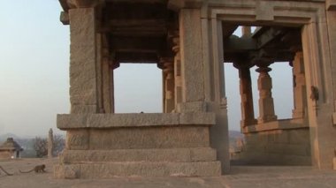 Hindistan Karnataka maymun Hampi. Vijayanagar kalıntıları