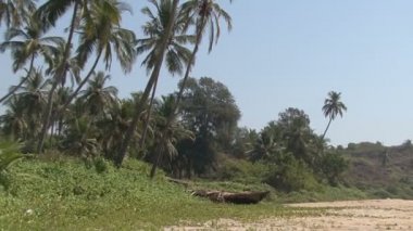 Plaj ve tekne. Hindistan.