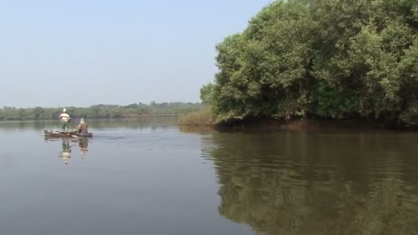 Vatten träd Indien — Stockvideo