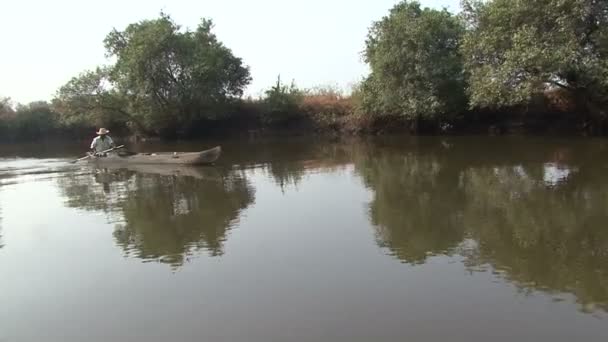 Árbol de agua India — Vídeo de stock