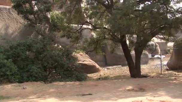 Inde Karnataka Hampi. Les ruines de Vijayanagara 