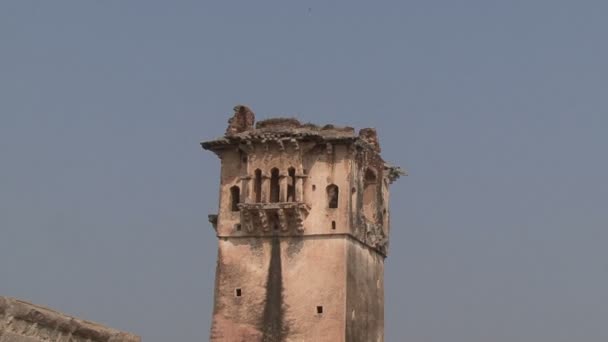 Indien Karnataka Hampi. Ruinerna av Cyanistes — Stockvideo