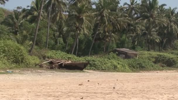 Beach and Boat. India. — Stock Video