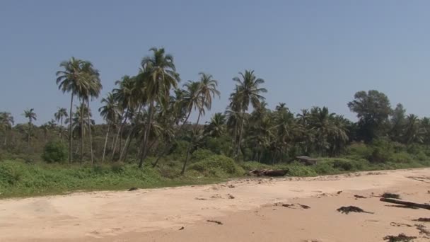 Praia e Barco. Índia . — Vídeo de Stock