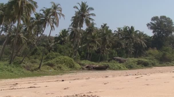 Plage et bateau. Inde . — Video