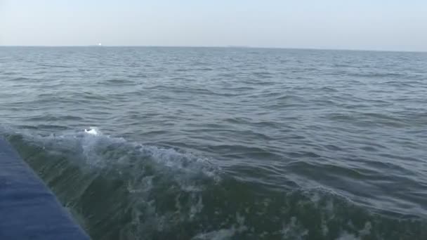 Schip op zee. Goa India. — Stockvideo