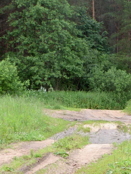 The road through the countryside — Stock Photo, Image