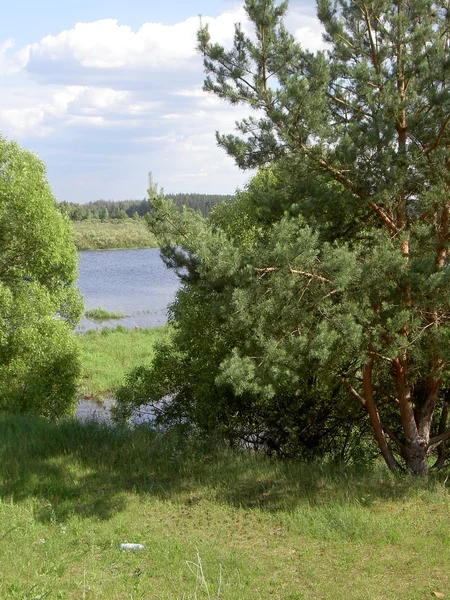 Spiegelung im Wasser, Bäume, Himmel, Wolken. — Stockfoto