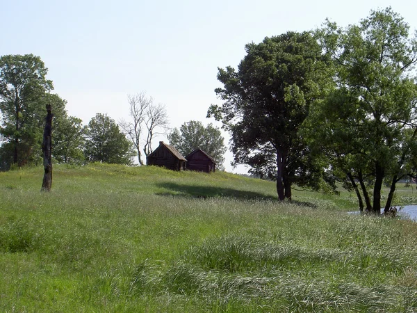 Thickets of shady trees in the summer, little wood houses, not photoshop — Stock Photo, Image