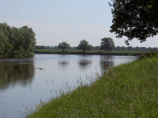 Odraz ve vodě, stromy, obloha, mraky. — Stock fotografie