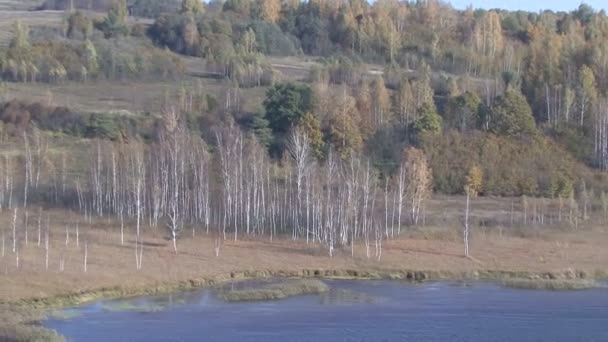 Podzimní pohled z břízy. Jezero. — Stock video