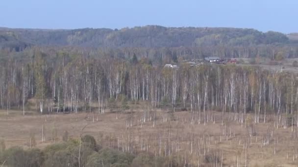 Herbstblick aus der Birke. See. — Stockvideo