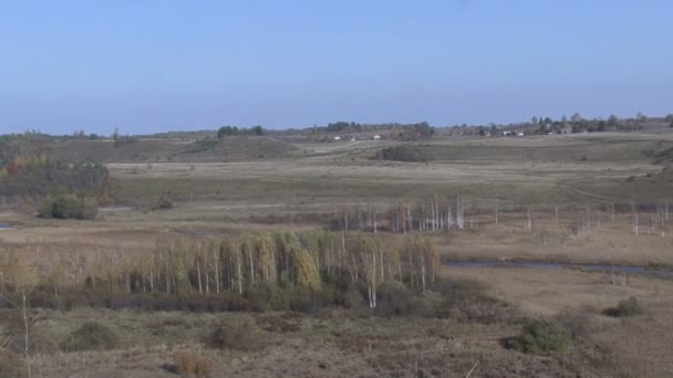 Podzimní pohled z břízy. Jezero. — Stock video