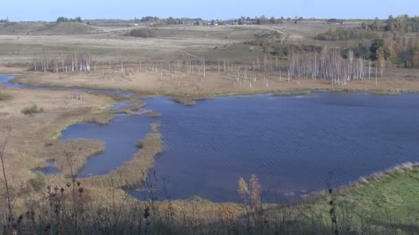 Podzimní pohled z břízy. Jezero. — Stock video