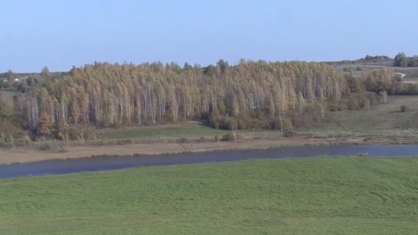 Осінній вид з берези. озеро . — стокове відео