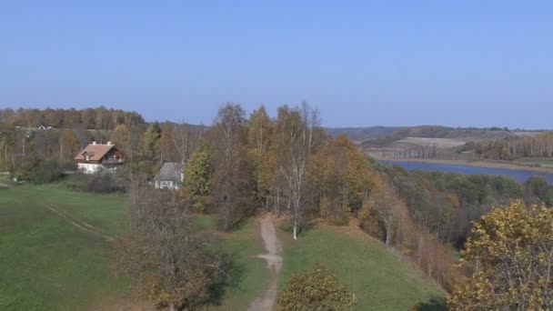 Podzimní pohled z břízy. Jezero. — Stock video