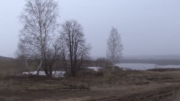 Natursköna vyer över floden Oka i Konstantinovo Ryssland — Stockvideo