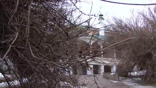 Dernières branches de neige d'un arbre — Video