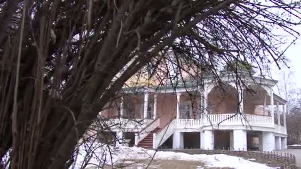 Dernières branches de neige d'un arbre — Video