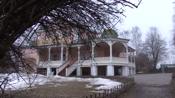 Laatste sneeuw takken van een bomen — Stockvideo