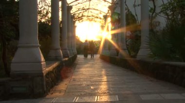 Çiçek Pergale güneş ışınlarının.