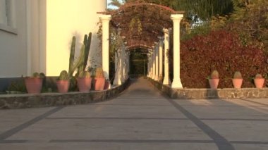 Capernaum Oniki Havariler Manastırı