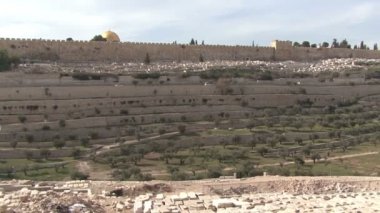 Kidron Vadisi. Jerusalem.