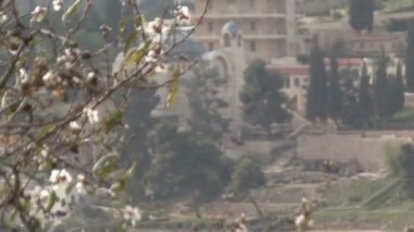 Kidron Vadisi. Jerusalem.