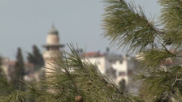 Torres da Cidade Velha. Jerusalém . — Vídeo de Stock