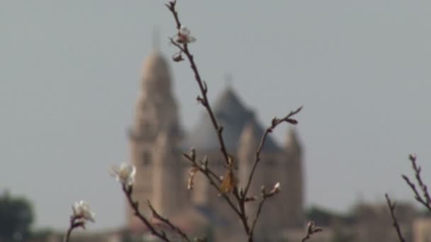 올드 타운의 타워입니다. 예루살렘. — 비디오