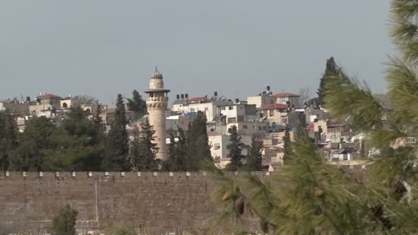 Uitzicht over de oude stad van het hek tuin van Getsemane — Stockvideo