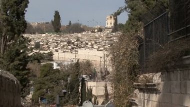 Çit Bahçe Gethsemane eski şehirden görünümü
