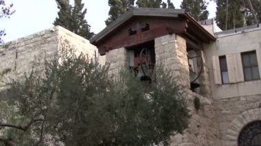 Bahçe Gethsemane. Oliva.
