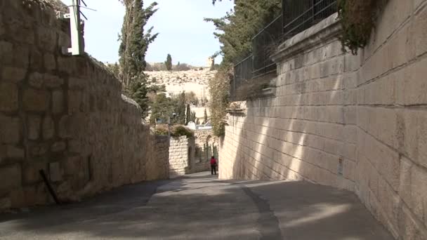 View of the old city from the fence Garden of Gethsemane — Stock Video