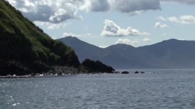 Pasifik Okyanusu Adaları.