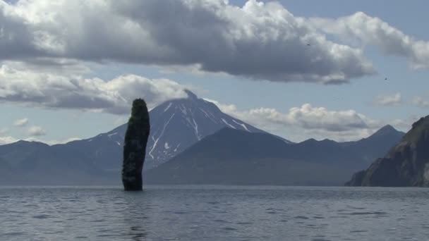 太平洋の島々. — ストック動画