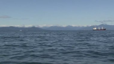 Tekne gezisi. Avacha Körfezi.