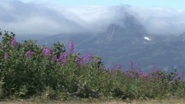 Yollar Kamçatka. Dağ geçidi.