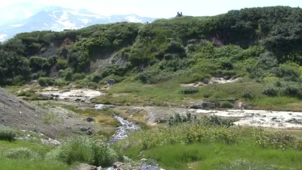 Stream in the Valley of Mutnovsky volcano. — Stock Video