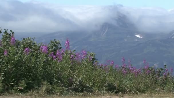 Strade Kamchatka. Passo di montagna . — Video Stock